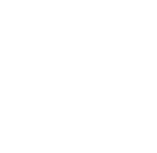icon-wf-weiss-500px